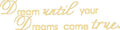 Picniva Gold 5'' X 24'' Dream Until Your Dreams Come True Wall Famous PVC Wall Sticker Decal Quote Art Vinyl