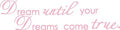 Pink 7'' X 28'' Dream Until Your Dreams Come True Wall Famous PVC Wall Sticker Decal Quote Art Vinyl
