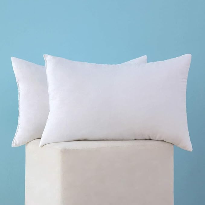 MIULEE Set of 2 Throw Pillow Inserts Premium Pillow Stuffer Square Form for Decorative Cushion Bed Couch Sofa 14x22 Inch
