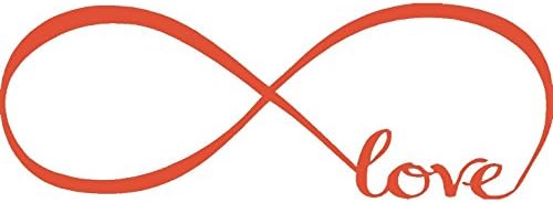 Wall Stickers Bedroom Decor Infinity Symbol Word Love Vinyl Art Decal (7'' X 22'', Orange)