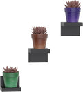 RICHER HOUSE 3-Pack Small Floating Shelves for Wall, Plastic Black Shelf 4 Inch Display Ledges for Small Decor, Mini Shelf for Wall with 2 Types of Installation (Adhesive or Screw)