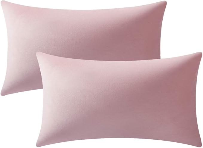DEZENE Lumbar Pillow Covers 12x20 Pink: Pack of 2 Cozy Soft Velvet Rectangular Modern Luxury Decorative Throw Pillow Cases for Sofa Couch Living Room Bed Home Decor