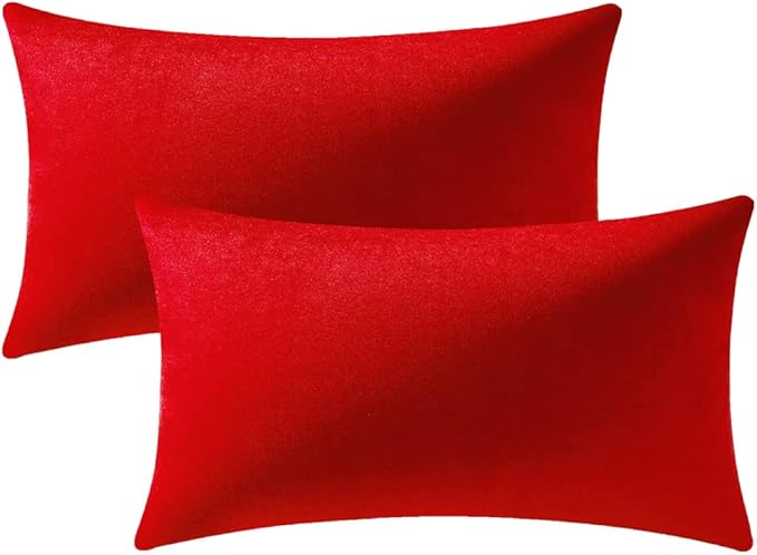DEZENE Lumbar Pillow Covers 12x20 Christmas Red: Pack of 2 Cozy Soft Velvet Rectangular Modern Luxury Decorative Throw Pillow Cases for Sofa Couch Living Room Bed Home Decor