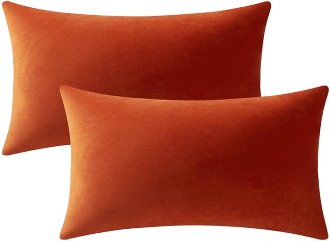 DEZENE Lumbar Pillow Covers 12x20 Burnt Orange: Pack of 2 Cozy Soft Velvet Rectangular Modern Luxury Decorative Throw Pillow Cases for Sofa Couch Living Room Bed Home Decor