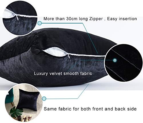 GIGIZAZA Decorative Throw Pillow Covers 16 x 16, Black Soft Pillow Covers Velvet,Set of 4 Decor Square Cushion Covers
