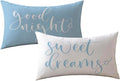 Bedding Decorative Lumbar Pillowcases Sweet Dreams Good Night Cushion Covers Sleep Themed Throw Pillow Covers 12''x20'',2Pack Super Soft for Bedroom Guest Room Housewarming Gifts (Light Blue)