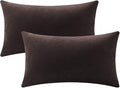 DEZENE Lumbar Pillow Covers 12x20 Chocolate Brown: Pack of 2 Cozy Soft Velvet Rectangular Modern Luxury Decorative Throw Pillow Cases for Sofa Couch Living Room Bed Home Decor