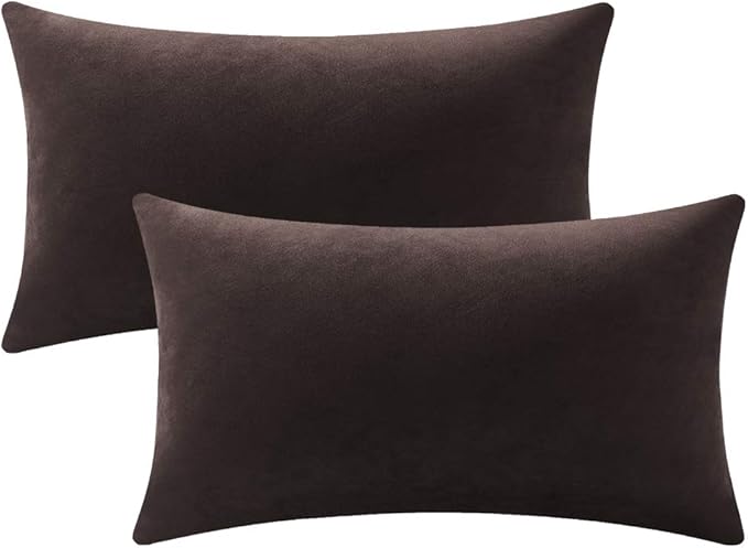 DEZENE Lumbar Pillow Covers 12x20 Chocolate Brown: Pack of 2 Cozy Soft Velvet Rectangular Modern Luxury Decorative Throw Pillow Cases for Sofa Couch Living Room Bed Home Decor