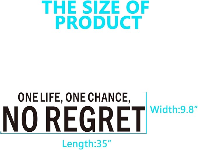Motivational Wall Decals for Living Room: Inspirational Quotes Office Gym School Classroom Garage Bedroom Vinyl Art Wall Stickers - One Life One Chance No Regret 35" X 9"