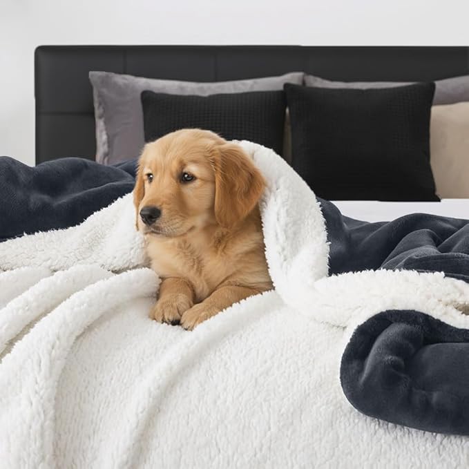WDCOZY Sherpa Fleece Blankets Fuzzy Thick Warm Throw Blanket Super Soft Reversible Luxurious Fluffy Plush for Sofa Couch Bed Home Decor All Seasons Winter Blankets 90"x90" Charcoal Black