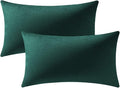 DEZENE Lumbar Pillow Covers 12x20 Green: Pack of 2 Cozy Soft Velvet Rectangular Modern Luxury Decorative Throw Pillow Cases for Sofa Couch Living Room Bed Home Decor Christmas