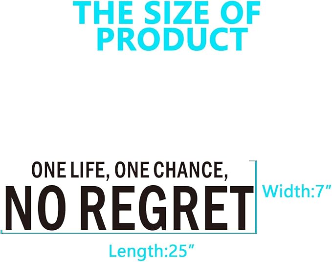 Inspirational Wall Stickers for Living Room: Motivational Quotes Office Gym School Classroom Garage Bedroom Vinyl Art Wall Decals - One Life One Chance No Regret 25" X 7"