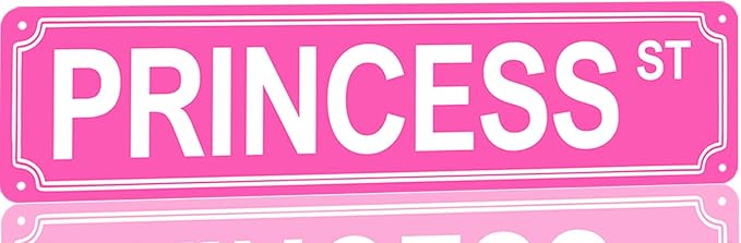 Pink Room Decor Princess Street Sign Y2k Princess Room Decor Pink Princess St Metal Tin Sign Bedroom Decorations 16x4 Inches