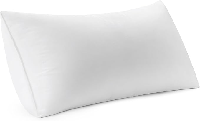 MIULEE 12x24 Inch Premium Lumbar Throw Pillow for Bed Sofa Couch Virgin Microfiber with 100% Cotton Cover Decorative Throw Pillow Insert Stuffer Form