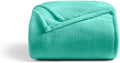 Cosy House Collection Everyday 1500 Series Fleece Blanket - Bedroom Essentials - All Season, Stays Fresh & Clean - Soft, Breathable & Skin-Friendly (Full/Queen, Turquoise)