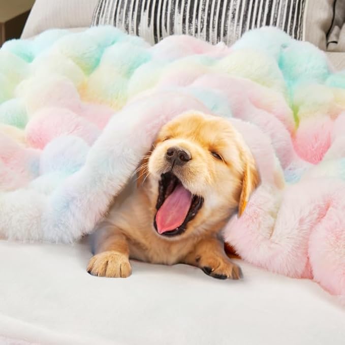 DREAMNINE Oversized Colorful Soft Thick Bubble Faux Fur Throw Blanket Twin Size 60" x 70", Luxury Big Fuzzy Bed Blankets,Warm Cozy Furry Blanket for Winter,Cute Lovely Blankets for Girl Women,Rainbow