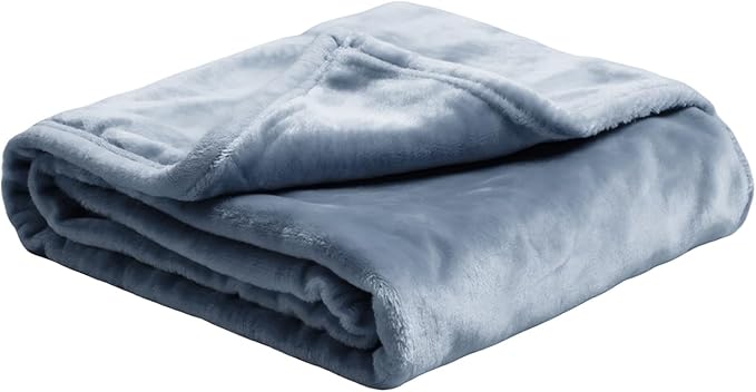 Plush Velvet Fleece Bed Blanket, Lightweight Queen Size Blanket, Soft Fuzzy Cozy Blanket for Couch (Haze Blue, Twin)