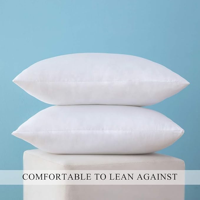 MIULEE Set of 2 Throw Pillow Inserts Premium Pillow Stuffer Square Form for Decorative Cushion Bed Couch Sofa 14x22 Inch