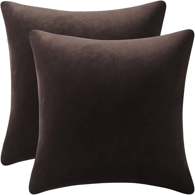 DEZENE Throw Pillow Covers 18x18 Chocolate Brown: Pack of 2 Cozy Soft Velvet Square Modern Luxury Decorative Throw Pillow Cases for Sofa Couch Living Room Bed Home Decor