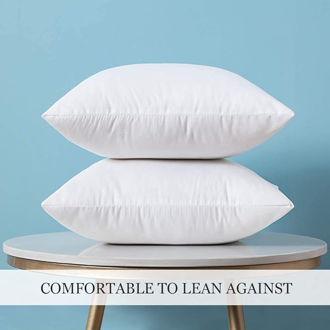 MIULEE Set of 2 Throw Pillow Inserts Premium Pillow Stuffer Square Form for Decorative Cushion Bed Couch Sofa 24x24 Inch