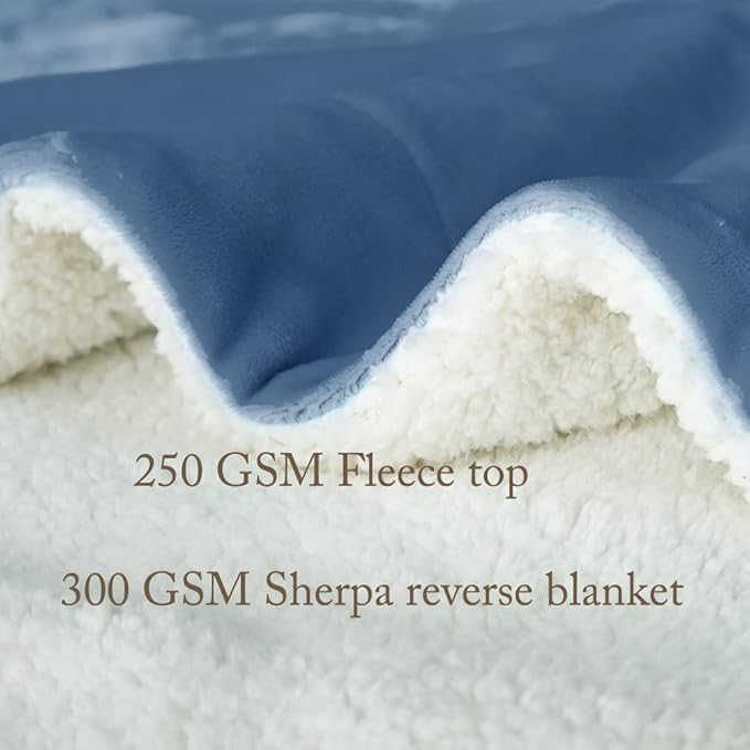 LBRO2M Sherpa Fleece Bed Blanket Twin Size,Super Soft Fuzzy Plush Warm Cozy Fluffy Microfiber Couch Throw Velvet Double Reversible Luxurious Blankets (Light Blue,Twin(65x90 Inches))
