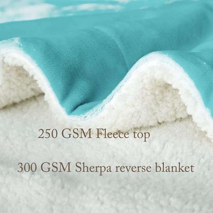 LBRO2M Sherpa Fleece Bed Blanket Queen Size,Super Soft Fuzzy Plush Warm Cozy Fluffy Microfiber Couch Throw Velvet Double Reversible Luxurious Blankets (Turquoise,Queen(90x90 Inches))