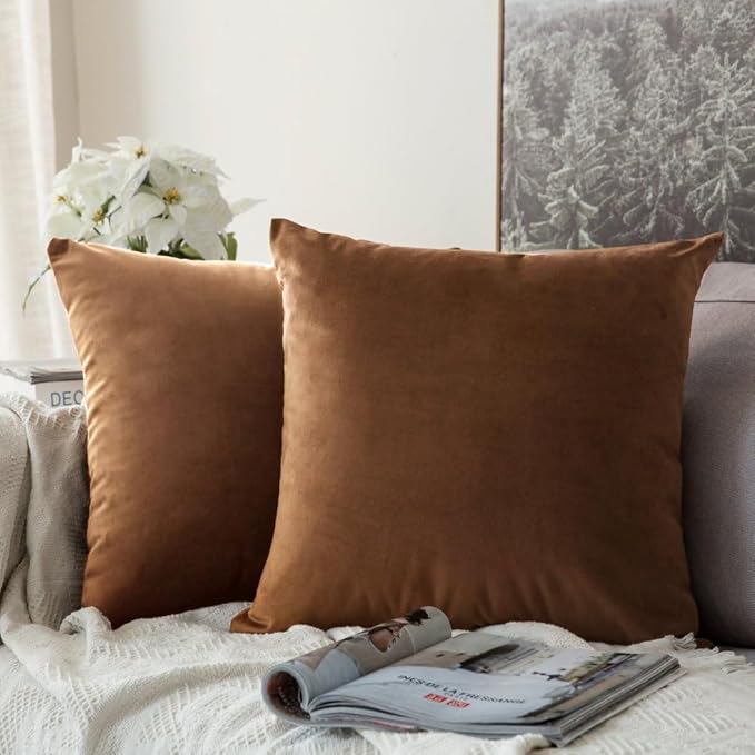MIULEE Velvet Throw Pillow Covers 20x20 Inch, Pack of 2 - Chocolate, Super Soft Decorative Square Cushion Cases Modern Luxury Home Decor for Sofa,Couch,Bed,Chair