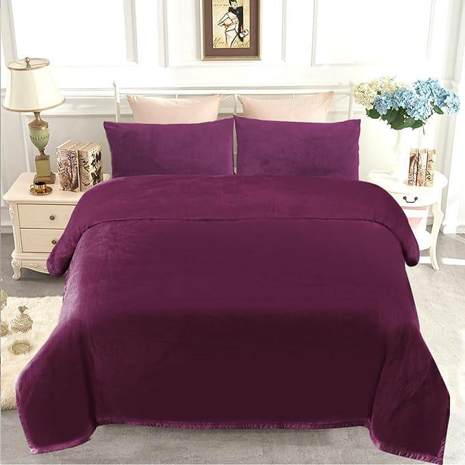JYK Fleece Plush Blanket King Size 85'' x 95'' - Premium Silky Flannel Fleece Blanket 4.4 LB, Lightweight and Fluffy Cozy Plush Comfy Large Blankets for Couch Sofa Bedroom, Purple