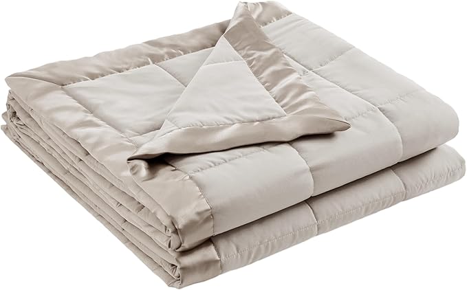 Madison Park Windom Down Alternative Blanket, Premium 3M Scotchgard Moisture Wicking Treatment, Lightweight and Soft Bed Cover For All Season, Satin Trim, Grey Twin