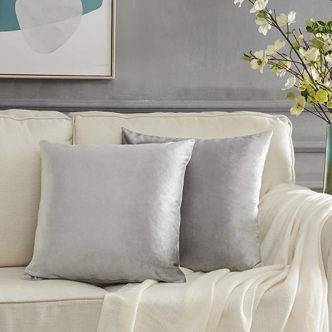 GIGIZAZA Decorative Throw Pillow Covers 16 x 16, Silver Grey Soft Pillow Covers Velvet,Set of 4 Decor Square Cushion Covers