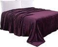 Elegant Comfort Luxury Velvety Feel Blanket, All-Season Lightweight Blanket, Ultra Plush, Soft, Cozy-Fuzzy Flannel Fleece for Couch, Sofa, Bed, Travel, Solid Design, Twin/Twin XL, Purple