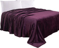 Elegant Comfort Luxury Velvety Feel Blanket, All-Season Lightweight Blanket, Ultra Plush, Soft, Cozy-Fuzzy Flannel Fleece for Couch, Sofa, Bed, Travel, Solid Design, Full/Queen, Purple