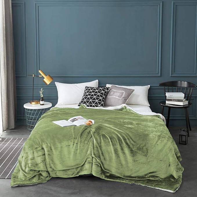 LBRO2M Sherpa Fleece Bed Blanket Queen Size Super Soft Fuzzy Plush Warm Cozy Fluffy Microfiber Couch Throw Velvet Double Reversible Blankets,Sage Green