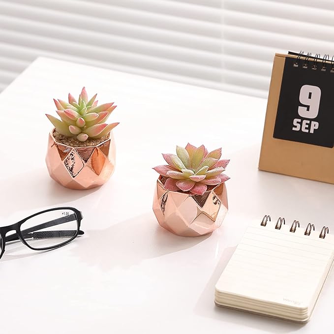 Tiita Artificial Faux Succulents in Pots, Mini Rose Gold Fake Plants for Women Desk, Small Realistic Faux Succulents for Home Office Accessories Window Sill Bathroom Bedroom, Rose Gold