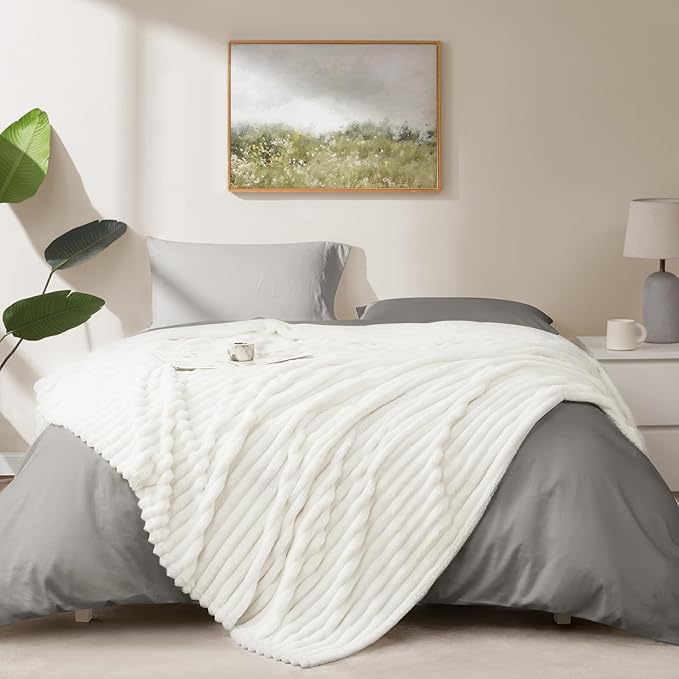 Soft Off White Twin Blanket for Bed - 300GSM Cozy Fleece Blanket for women, Small Lightweight Bed Blankets Graduation Birthday Gifts for Her Him, Home School Dorm Decor, Off White, 60x80 Inches