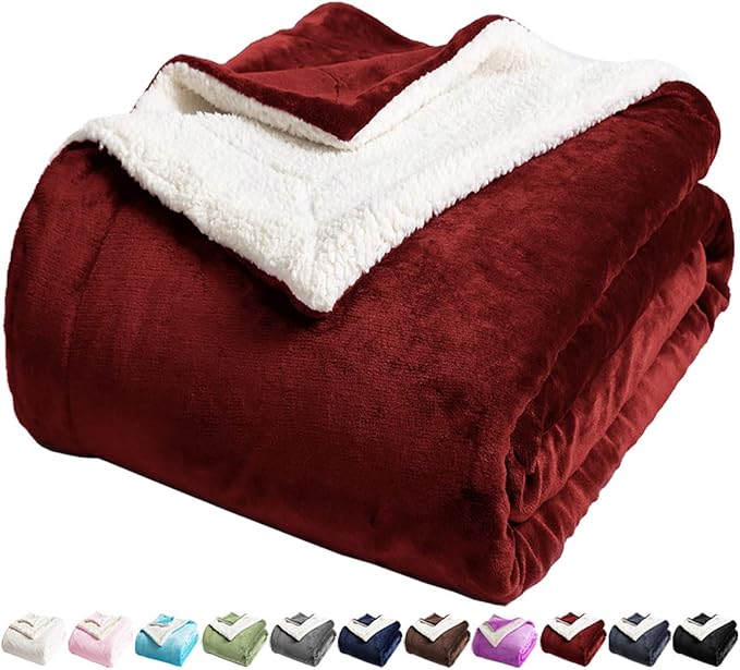 LBRO2M Sherpa Fleece Bed Blanket Queen Size Super Soft Plush Warm Cozy Microfiber Couch Throw Velvet Double Reversible Luxurious Blankets,Red