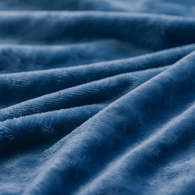 Plush Velvet Fleece Bed Blanket, Lightweight Queen Size Blanket, Soft Fuzzy Cozy Blanket for Couch (Royal Blue, Queen)