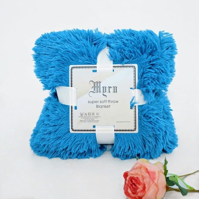 Plush Super Soft Blanket Bedding Sofa Cover Furry Fuzzy Fur Warm Throw Qulit Cozy Couch Blanket for Winter (51x63 Inches, Throw, Sky Blue)