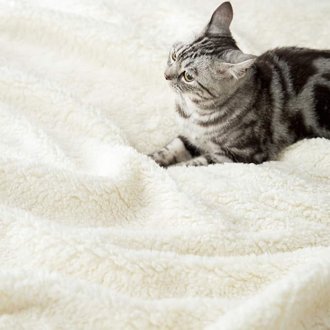 LBRO2M Sherpa Fleece Bed Blanket Twin Size Super Soft Fuzzy Plush Warm Cozy Fluffy Microfiber Couch Throw Velvet Double Reversible Luxurious Blankets,Brown