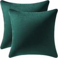 DEZENE Throw Pillow Covers 20x20 Green: Pack of 2 Cozy Soft Velvet Square Modern Luxury Decorative Throw Pillow Cases for Sofa Couch Living Room Bed Home Decor Christmas