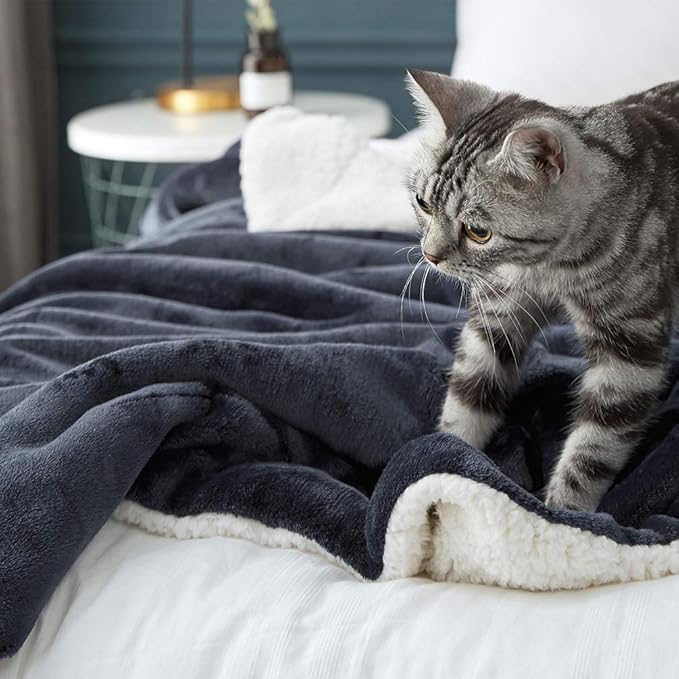 LBRO2M Sherpa Fleece Bed Blanket King Size Super Soft Fuzzy Plush Warm Cozy Fluffy Microfiber Couch Throw Velvet Double Reversible Blankets,Dark Grey