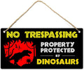 Dinosaur Room Decor for Boys, 12″x6″ PVC Plastic Decoration Hanging Sign, High Precision Printing, Waterproof, Dinosaur Bedroom Decor for Boys