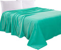 Elegant Comfort Luxury Velvety Feel Blanket, All-Season Lightweight Blanket, Ultra Plush, Soft, Cozy-Fuzzy Flannel Fleece for Couch, Sofa, Bed, Travel, Solid Design, King/California King, Tiffany