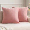 MIULEE 24x24 Inch Euro Sham Velvet Pillow Covers, Set of 2 Large Square Decorative Pillows -Dusty Pink Super Soft for King Bed, Sofa, Couch, Accent Chairs with Hidden Zipper