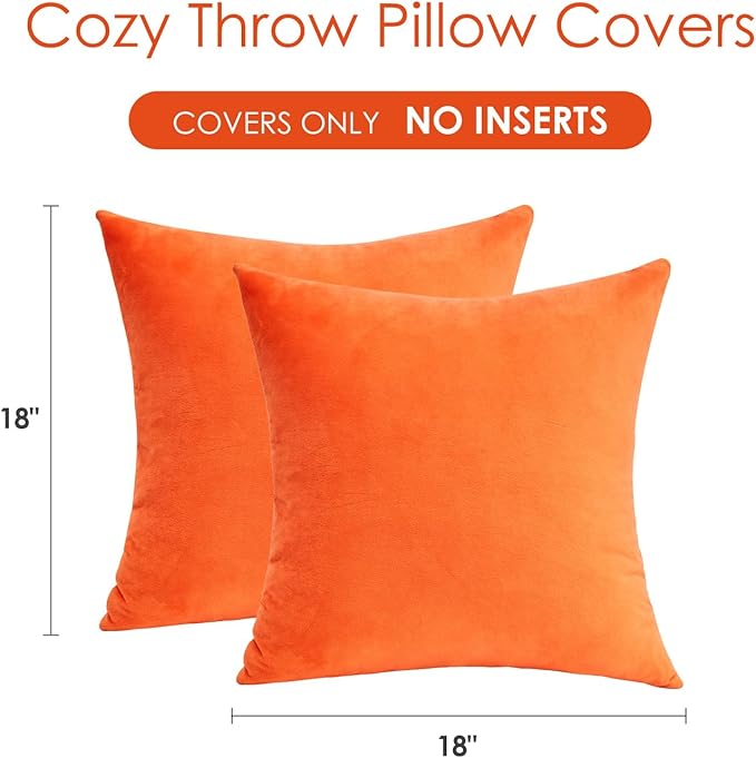 Fall Orange Throw Pillow Covers Decorative Velvet Set of 2 18x18 Inch Pillow Covers, Soft Burnt Orange Pillowcases for Couch Sofa Bed Living Room, Farmhouse Boho Decor, Accent Cushion Covers