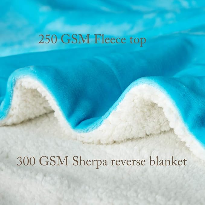 LBRO2M Sherpa Fleece Bed Blanket Queen Size Super Soft Fuzzy Plush Warm Cozy Fluffy Microfiber Couch Throw Velvet Double Reversible Luxurious Blankets,(90x90 Teal)