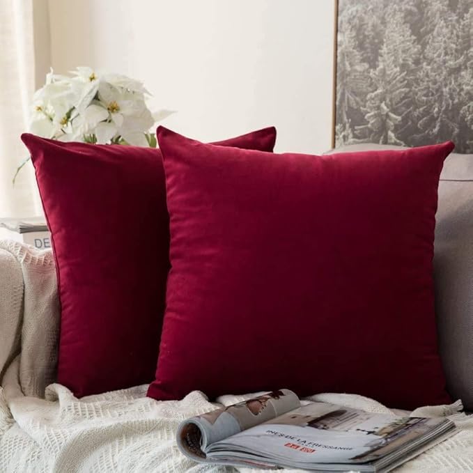 MIULEE 24x24 Inch Euro Sham Velvet Pillow Covers, Set of 2 Large Square Decorative Pillows -Wine Red Super Soft for King Bed, Sofa, Couch, Accent Chairs