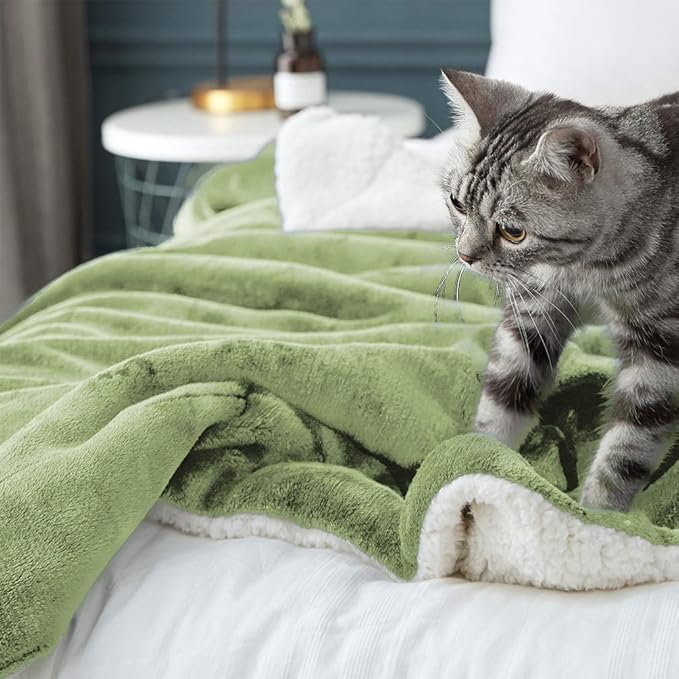 LBRO2M Sherpa Fleece Bed Blanket King Size Super Soft Fuzzy Plush Warm Cozy Fluffy Microfiber Couch Throw Velvet Double Reversible Luxurious Blankets,Sage Green
