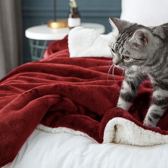 LBRO2M Sherpa Fleece Bed Blanket Queen Size Super Soft Plush Warm Cozy Microfiber Couch Throw Velvet Double Reversible Luxurious Blankets,Red