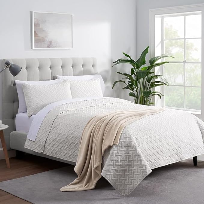 SERTA Cozy Plush Thick Fuzzy Super Soft Lightweight Throw Blanket for Bed, Couch, or Travel, Queen (90 in x 90 in), Taupe